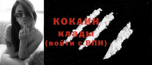 ПСИЛОЦИБИНОВЫЕ ГРИБЫ Краснослободск