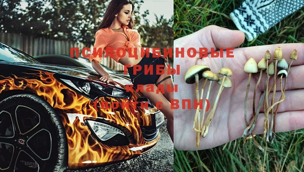 марки nbome Красноперекопск