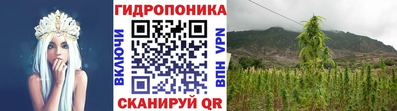 Бошки Шишки индика  Купить  Артёмовск 